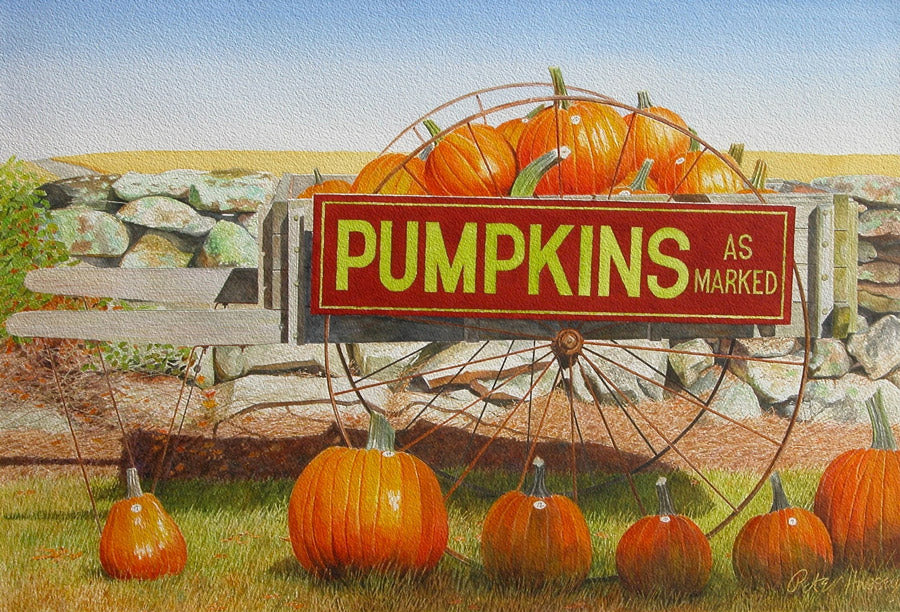 Pumpkins Priced as Marked